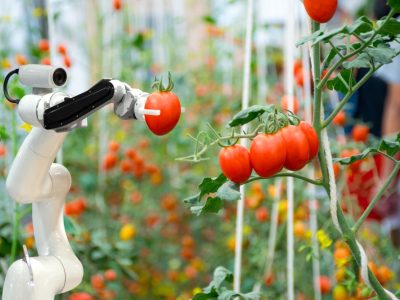 Farming Robots That Uses AI