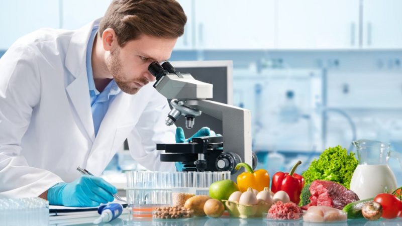 The Power of AI in Food Science