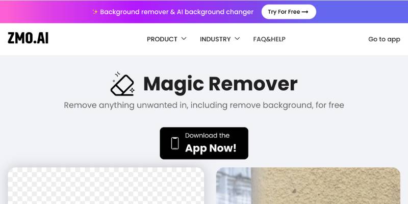 Remover ZMO AI Pricing, Features, Details, Alternatives