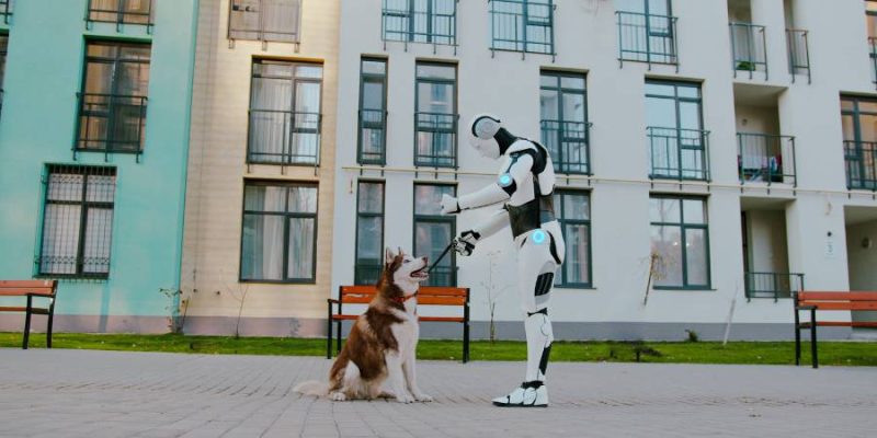 can robots understand your pets feelings