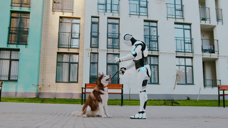 can robots understand your pets feelings