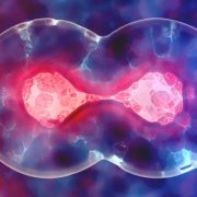 Hume’s Evi 3 Voice Cloning Refined, Ethically Guarded