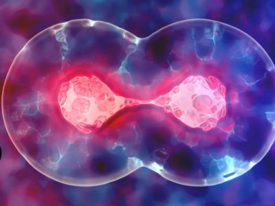 Hume’s Evi 3 Voice Cloning Refined, Ethically Guarded