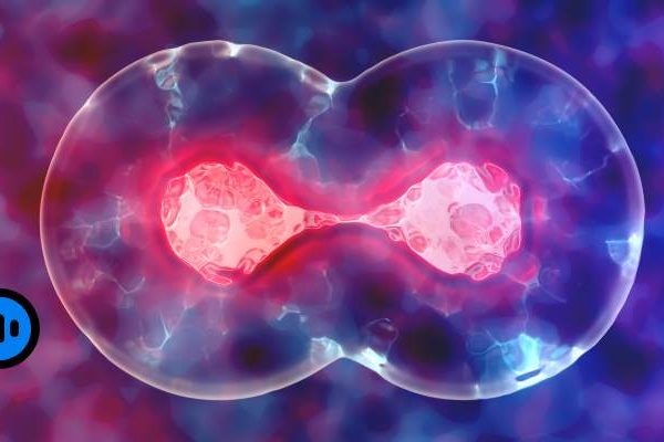 Hume’s Evi 3 Voice Cloning Refined, Ethically Guarded