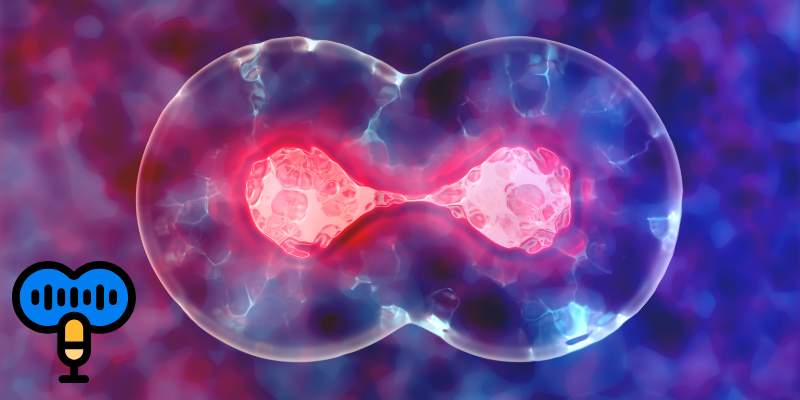 Hume’s Evi 3 Voice Cloning Refined, Ethically Guarded