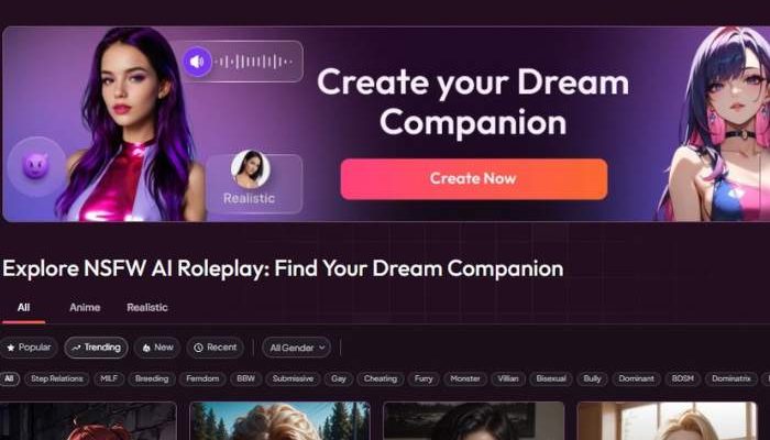 My Dream Companion
