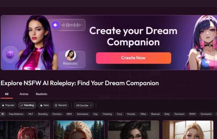 My Dream Companion