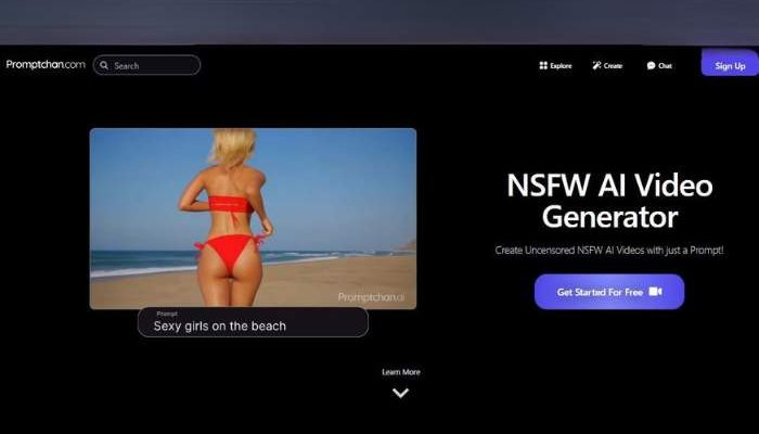 Promptchan Video Generator