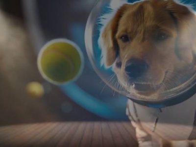 step into the spotlight openai’s sora 2 lets you become the star of your own ai-generated movie