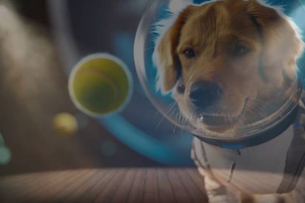 step into the spotlight openai’s sora 2 lets you become the star of your own ai-generated movie